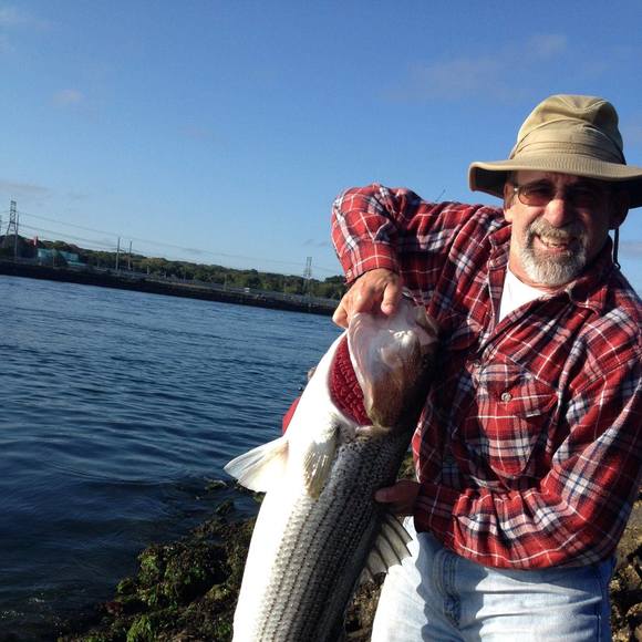 Meet your Posher, Mark - Picture 1 of 1